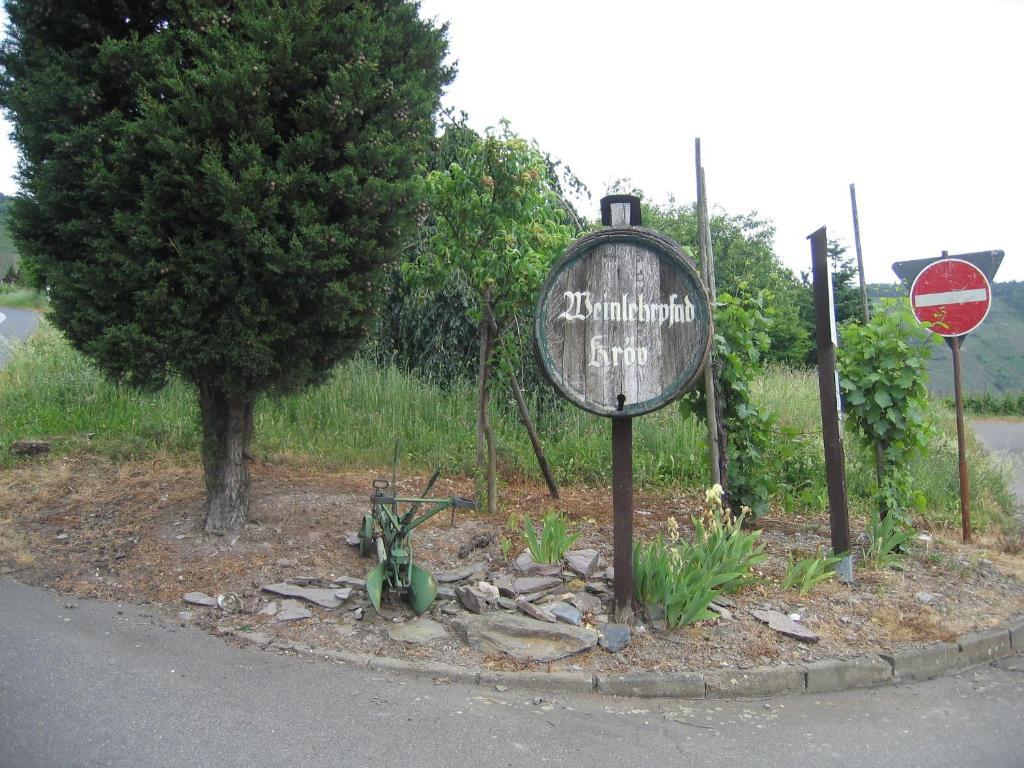 Weinfelderhof Hotell Kröv Eksteriør bilde